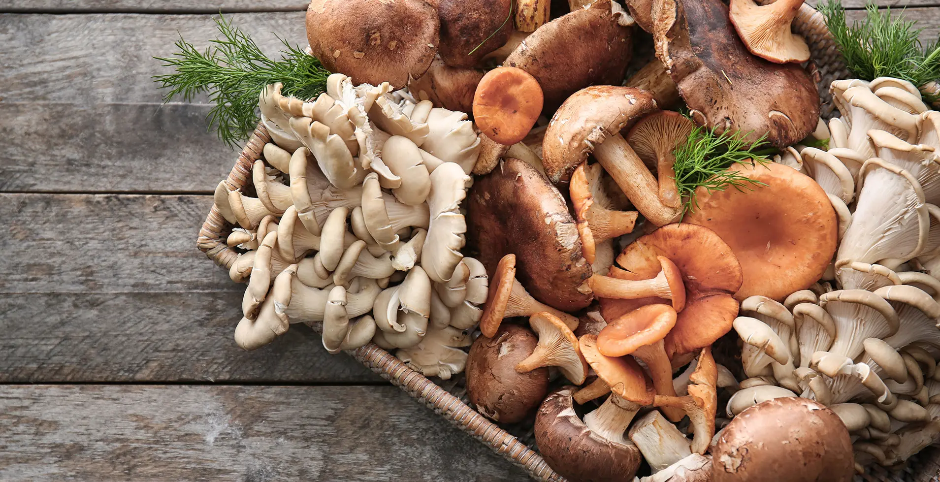 Champignon