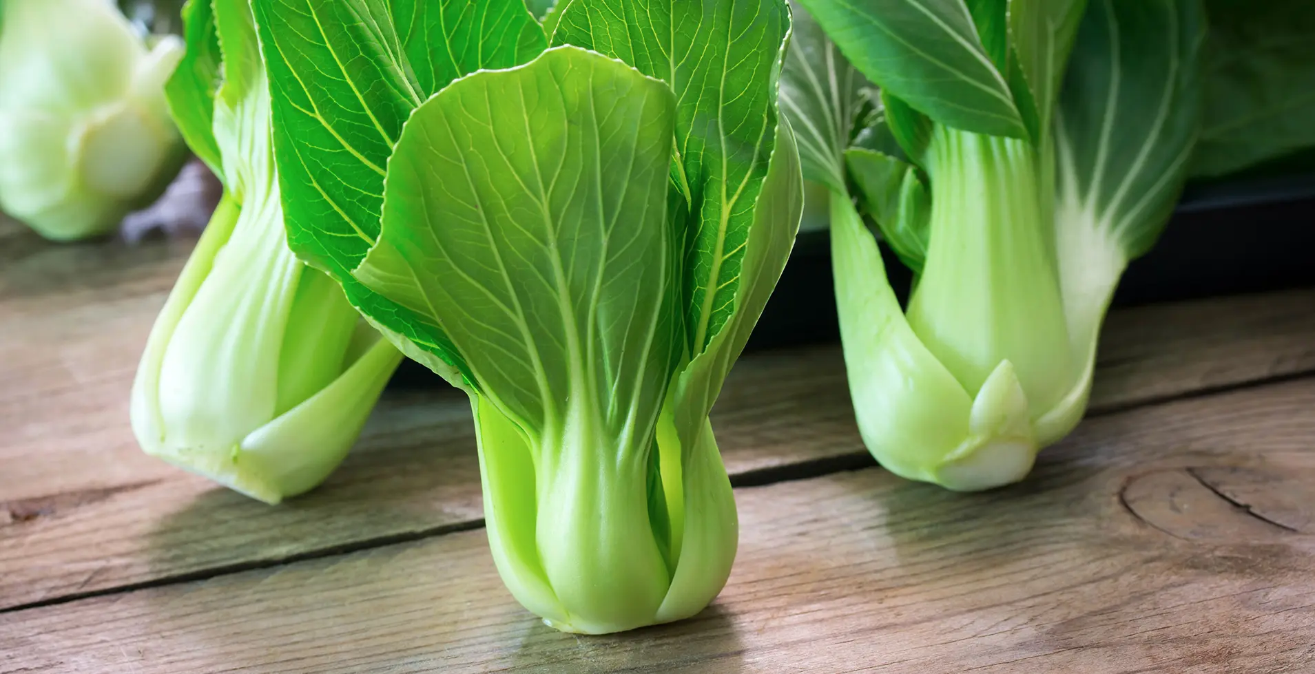 Chou bok choy