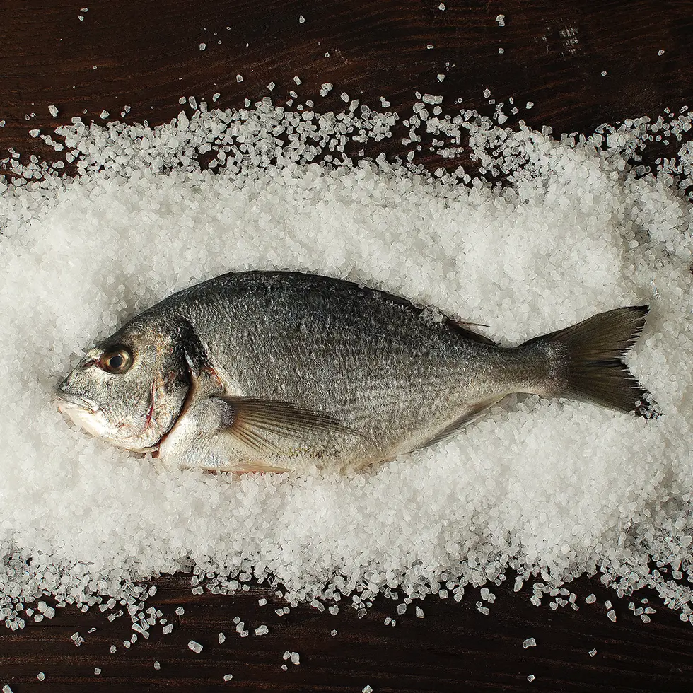 Le bassi salté