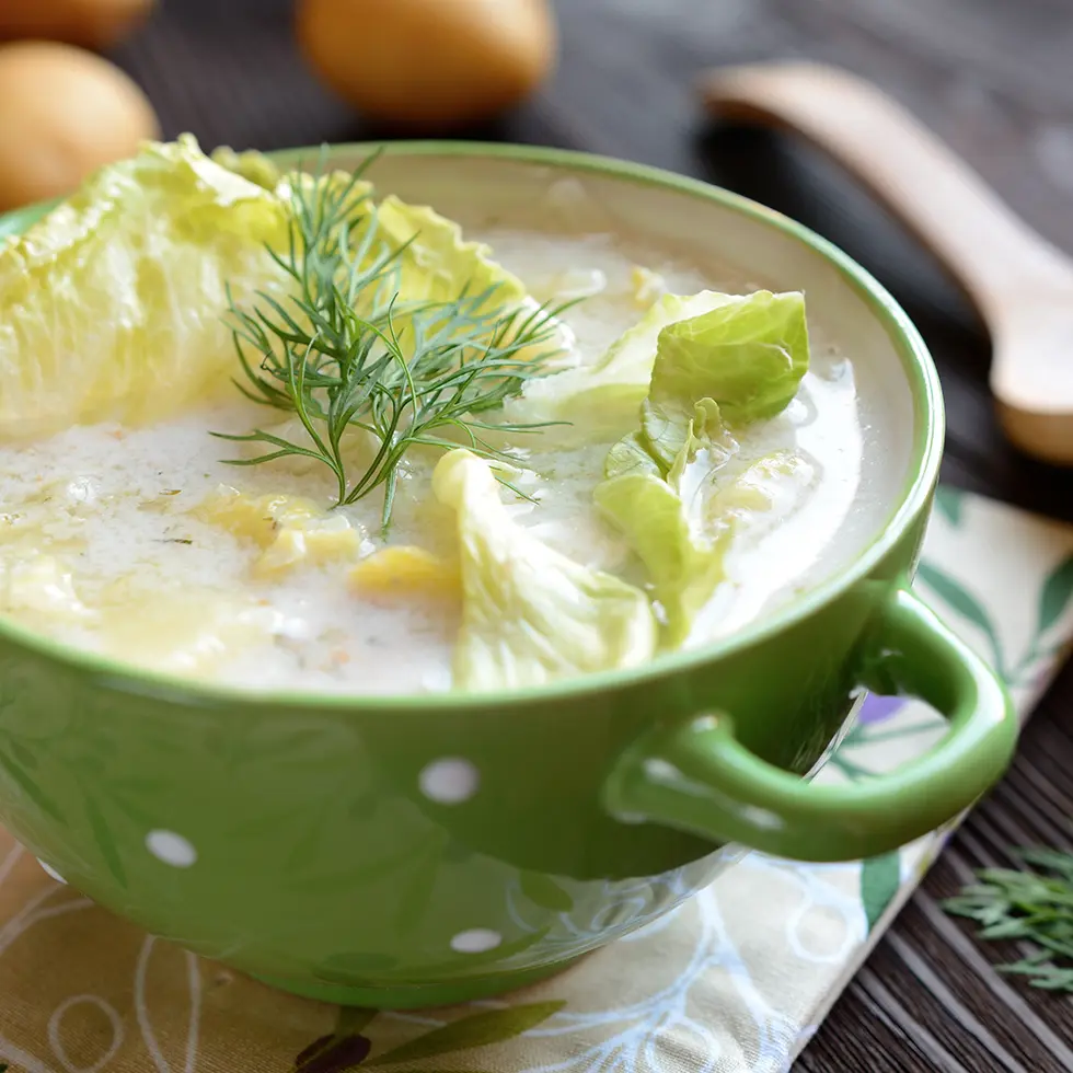 Potage à la laitue